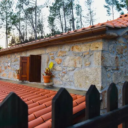 Lodge Cubico Das Marias Sever do Vouga